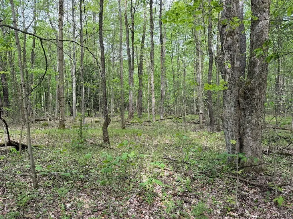 Picture 4