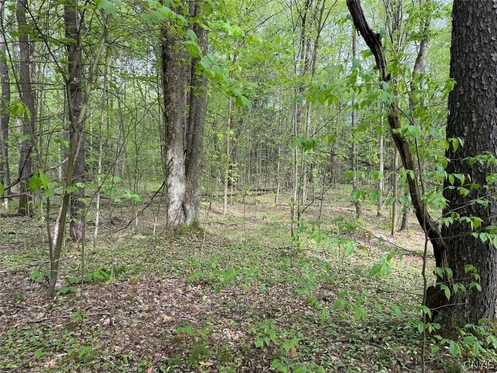 Picture 3