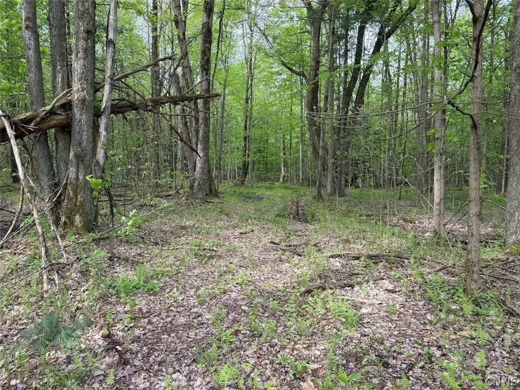 Picture 7