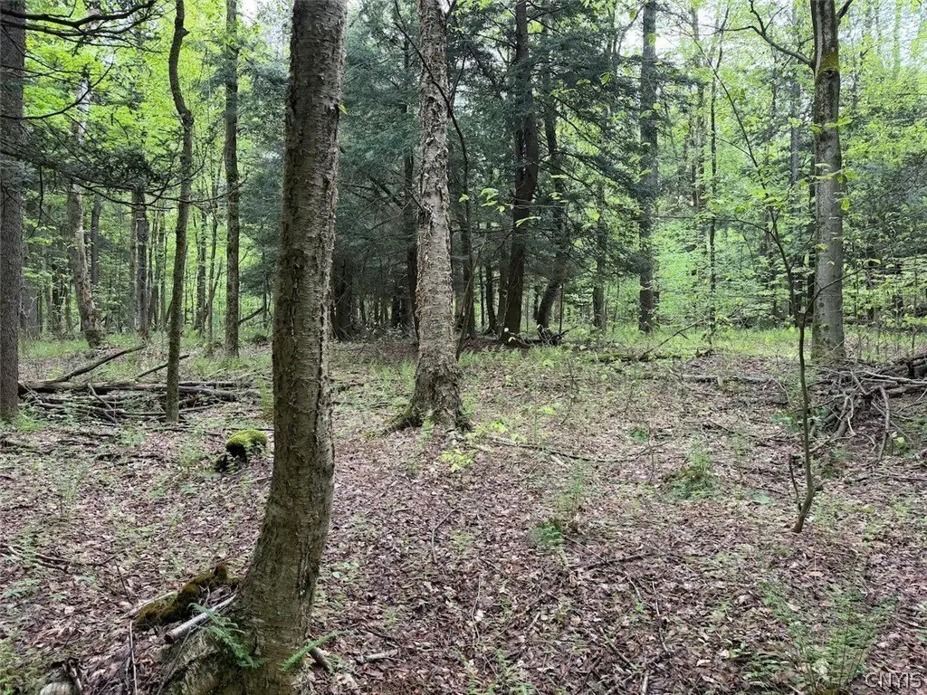 Picture 5