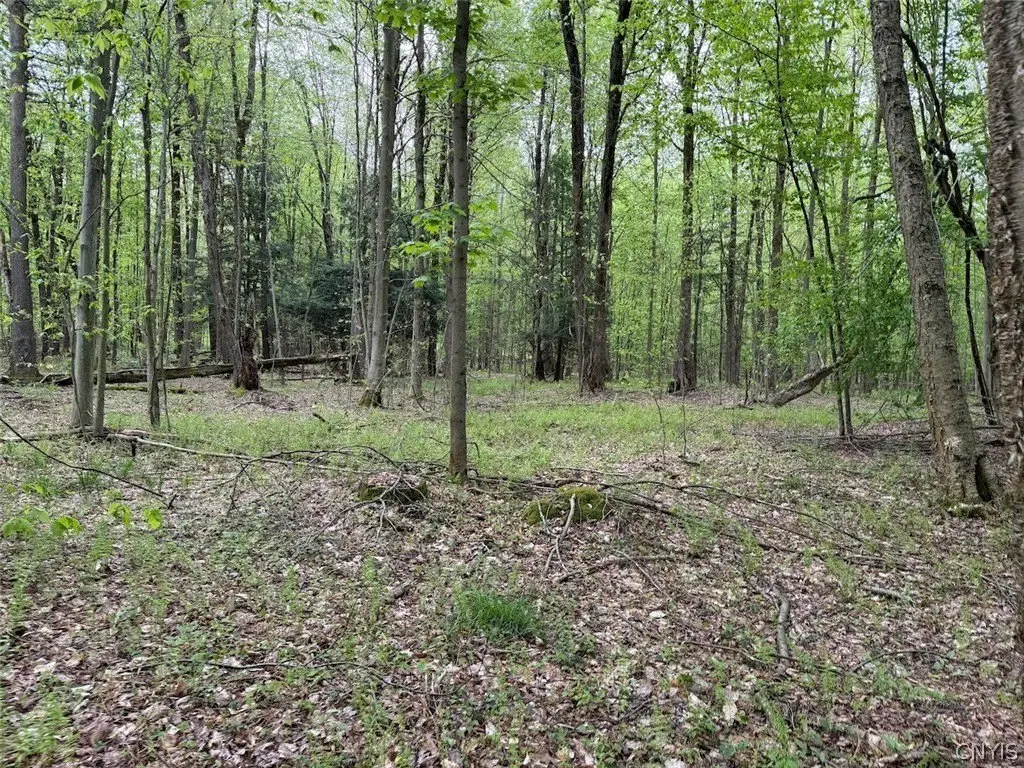 Picture 14