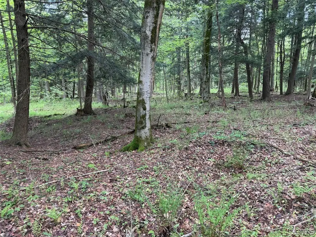 Picture 6