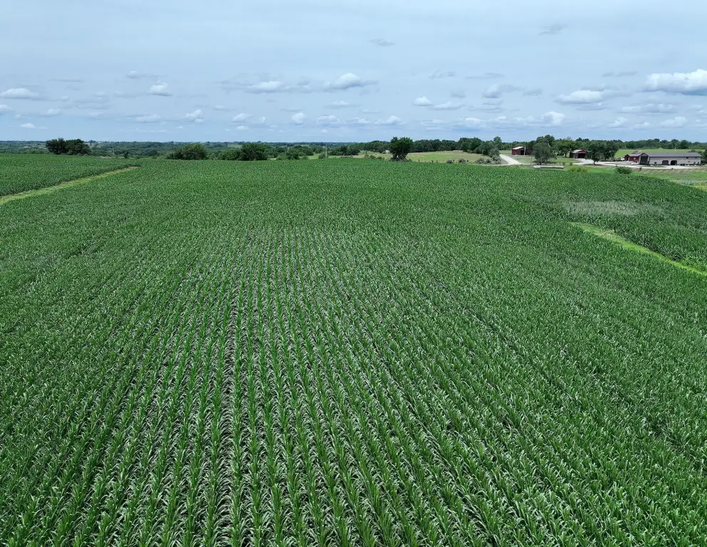 Picture 8