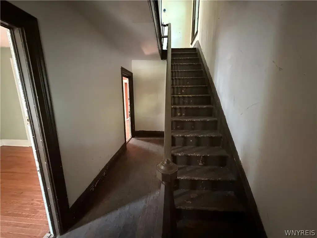 Picture 5