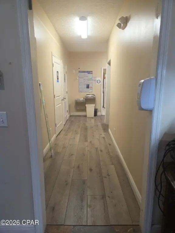 Picture 5