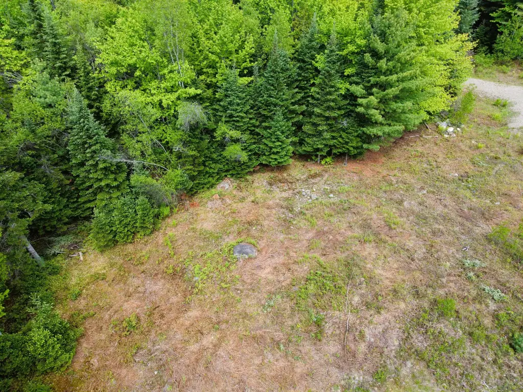 Picture 24