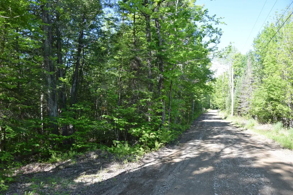 Picture 12