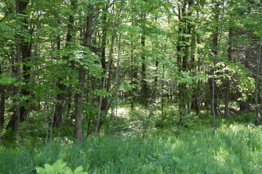 Picture 9