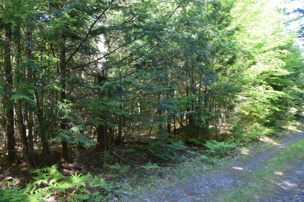 Picture 14