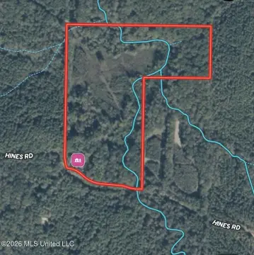 Recreational Land with Hunting Potential