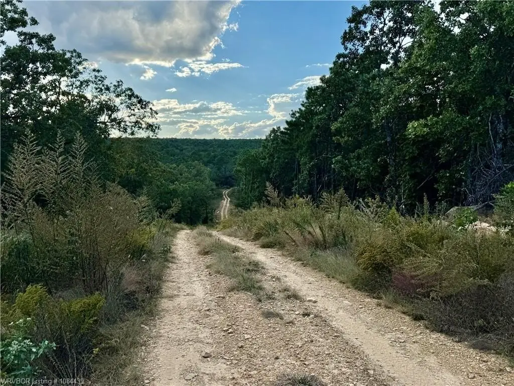 Picture 6