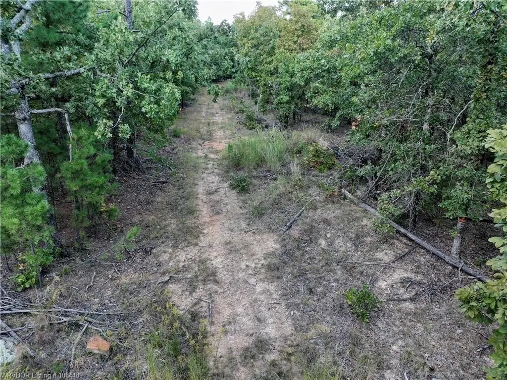 Picture 11