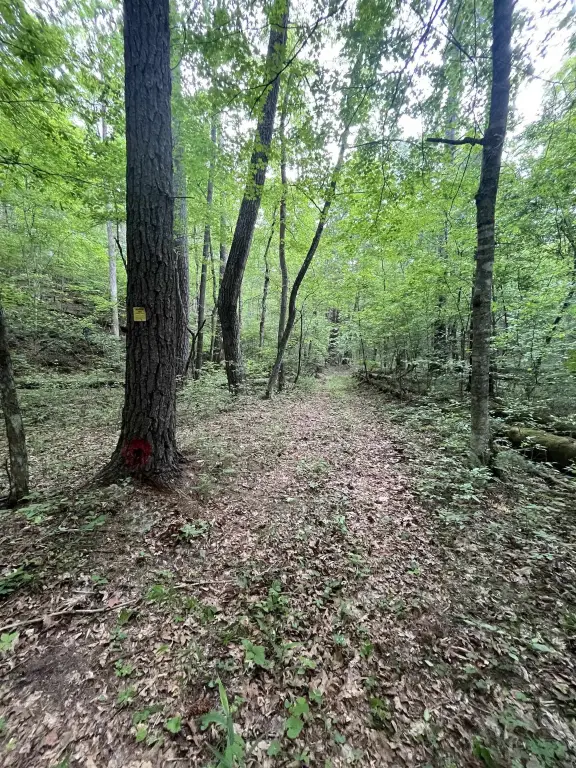 Picture 22