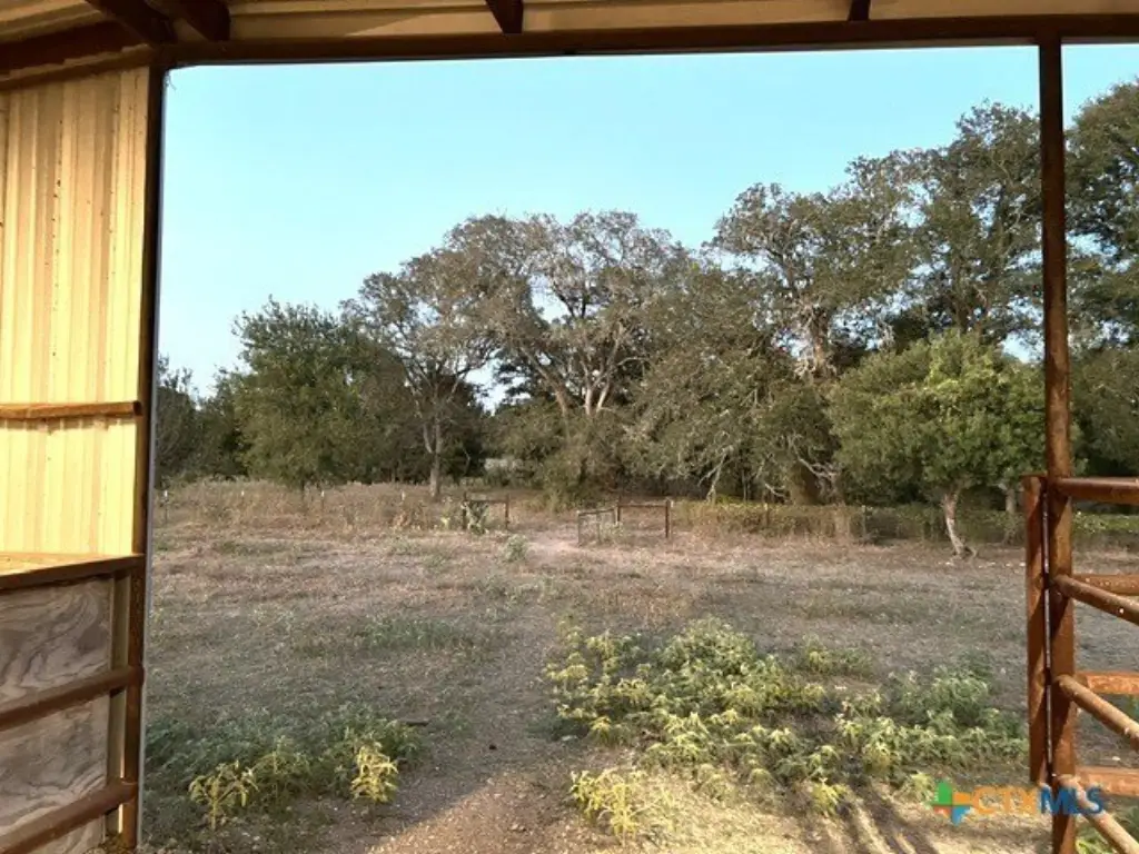 Picture 5