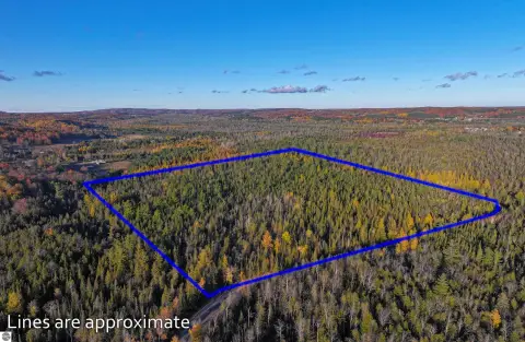 Leelanau County Wooded 40-Acre Parcel