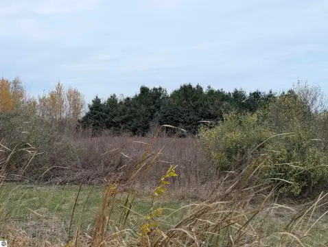 Land Near Saginaw Bay
