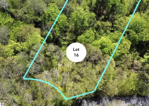 Land in Leelanau near Golf