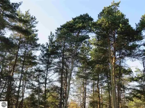 Secluded Wooded Parcel in Fife Lake