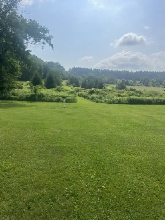 Picture 16