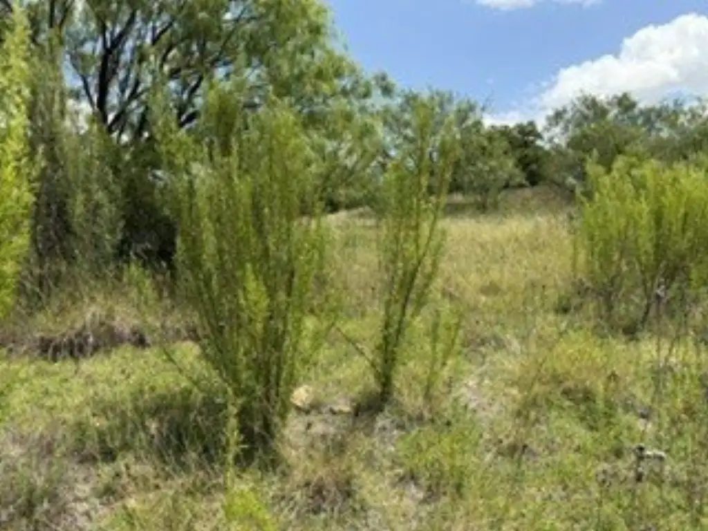 Picture 34