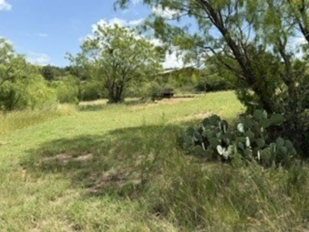 Picture 35