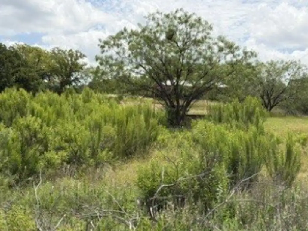 Picture 31