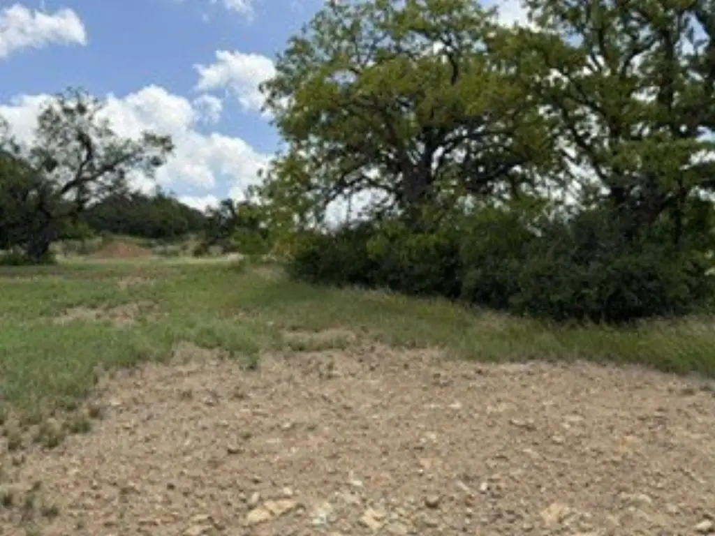 Picture 23