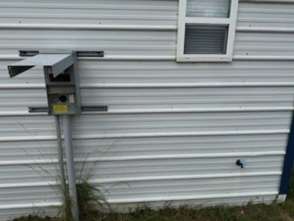 Picture 12