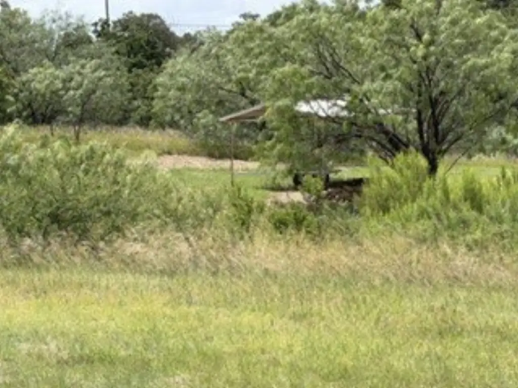 Picture 29