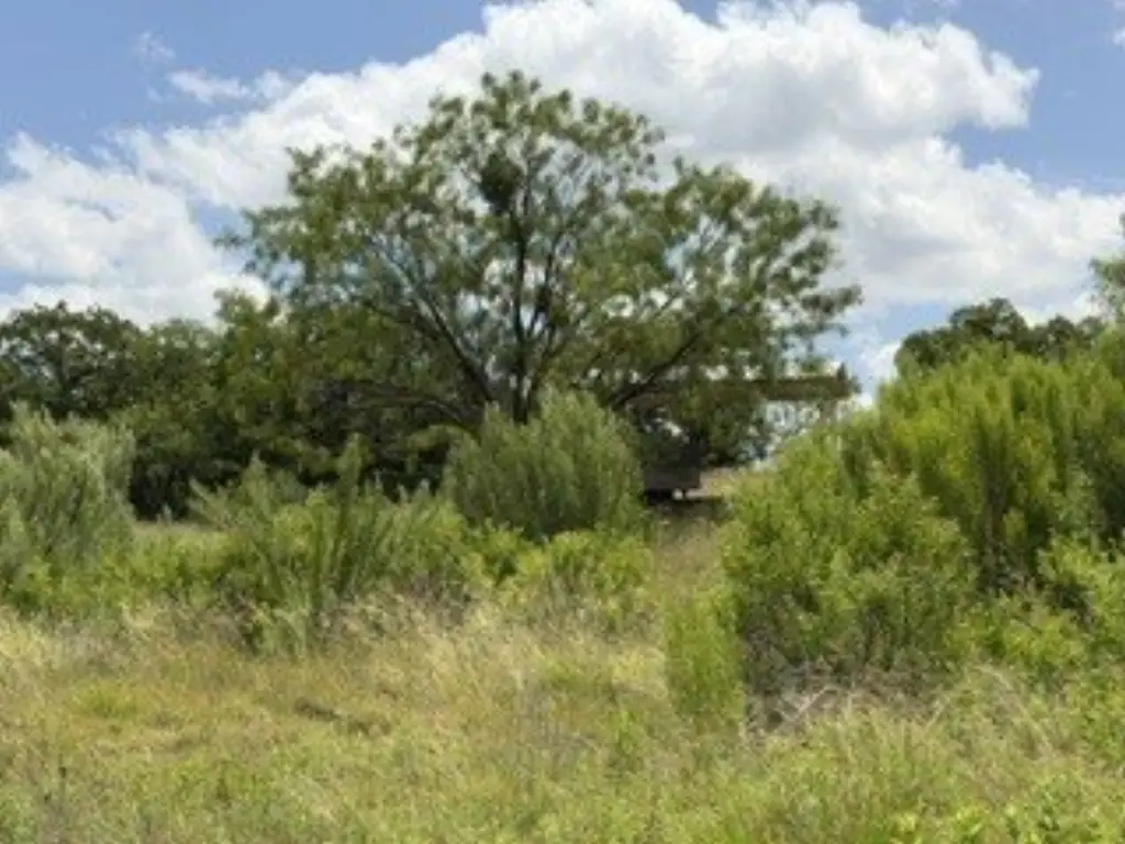 Picture 32