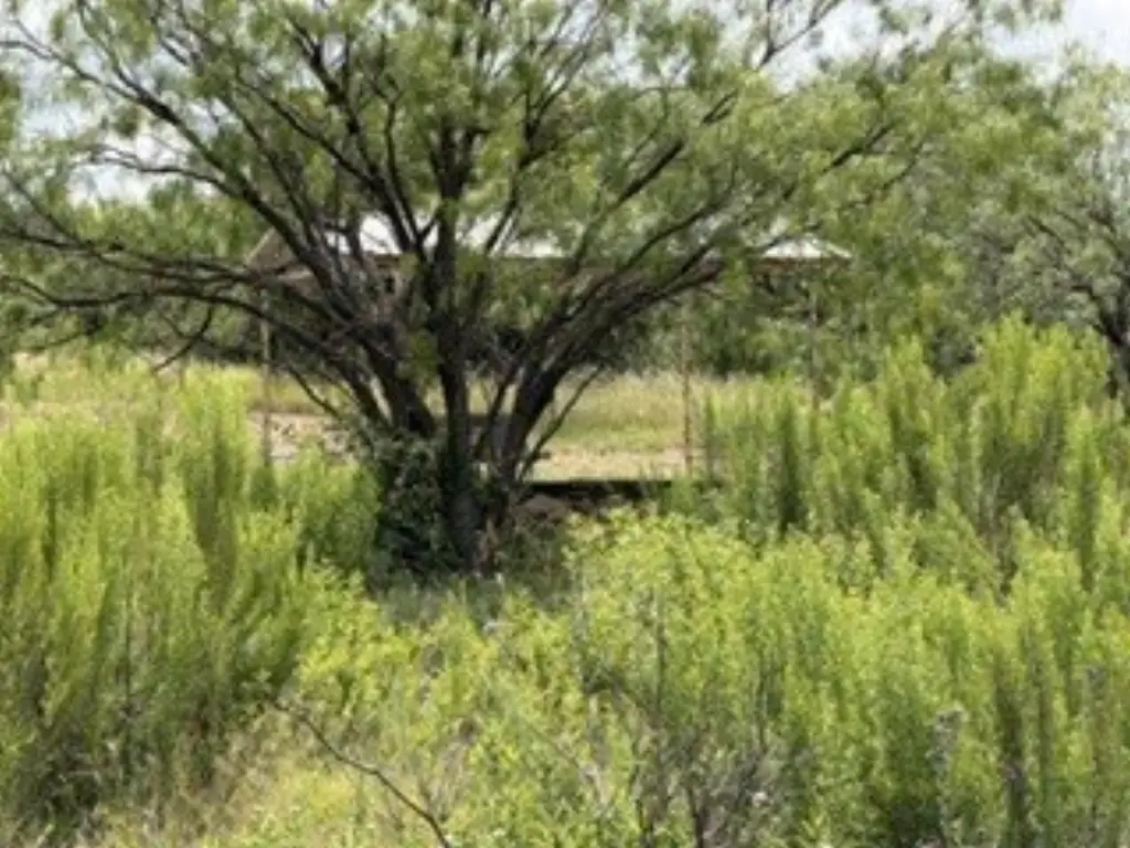 Picture 28