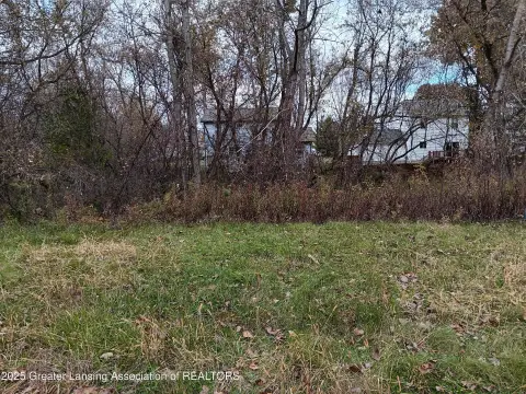 Residential Land in Perry, MI