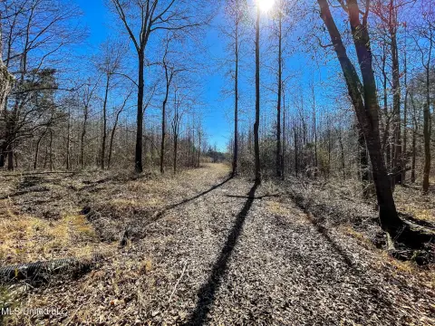 Recreational Land in Flora, MS