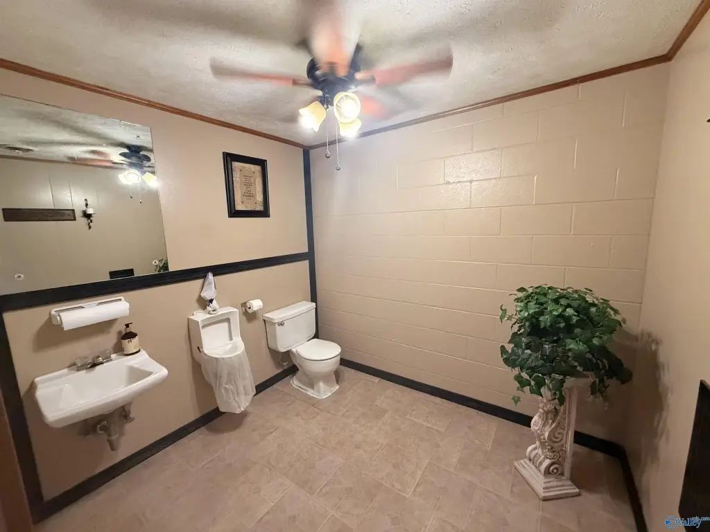 Picture 15