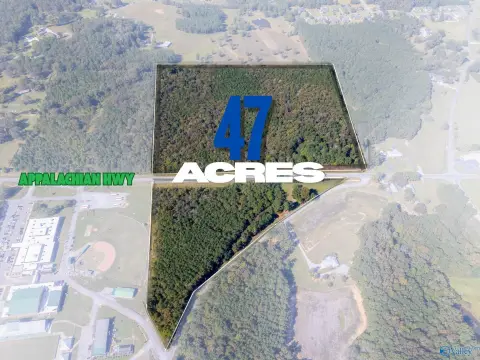 Hokes Bluff Acreage Opportunity