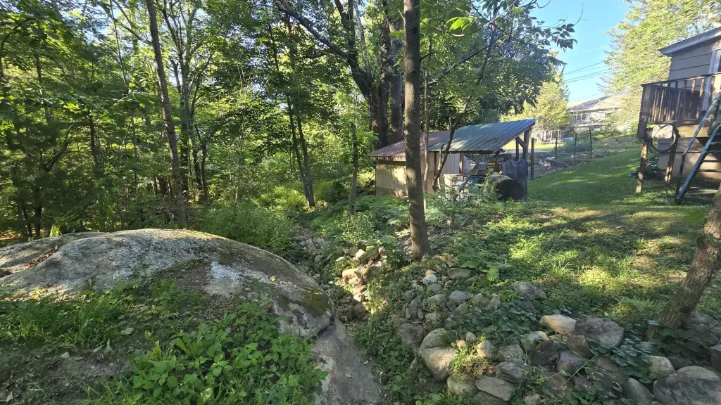 Picture 9