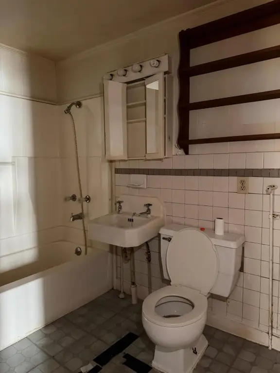 Picture 8