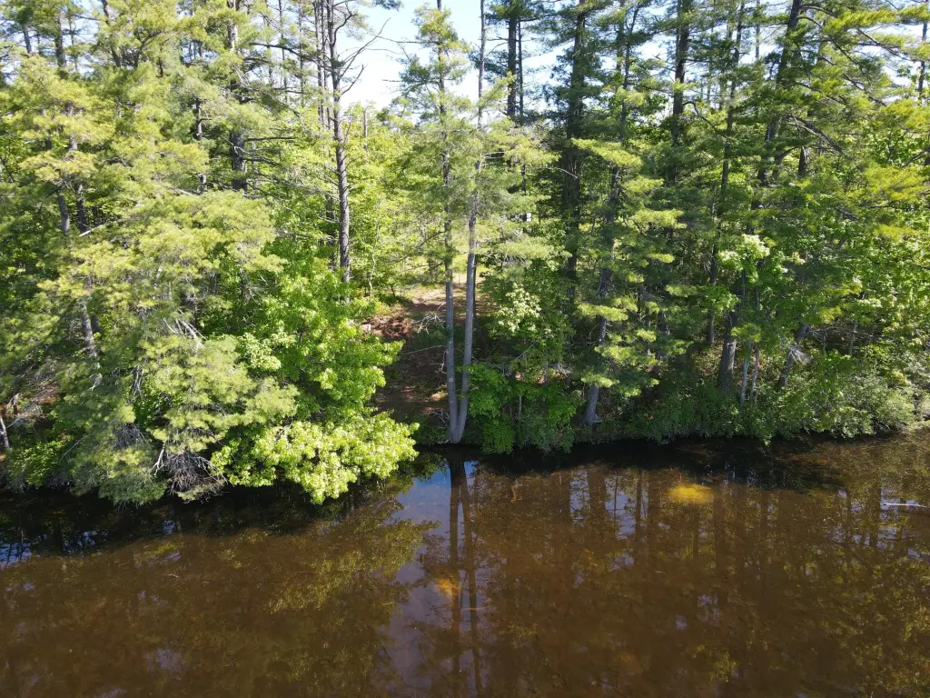 Picture 19