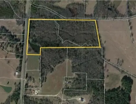 Pristine 40 Acres in Gilmer