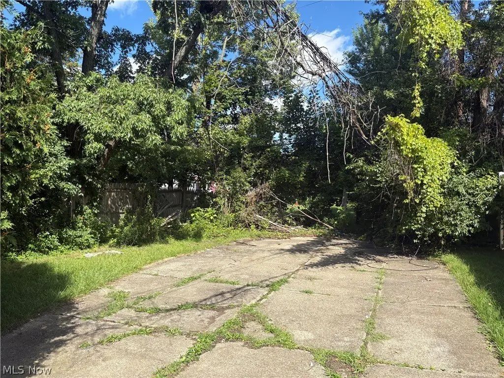 Picture 6