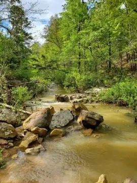 Recreational Land with Spring
