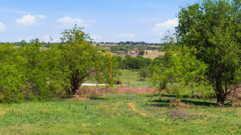 Picture 20