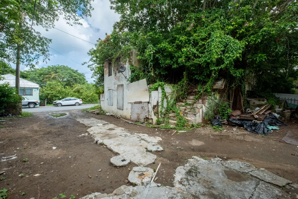Picture 25