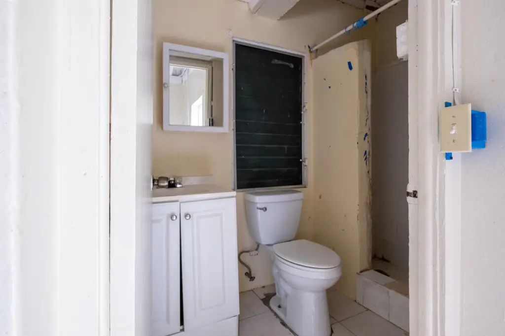 Picture 8