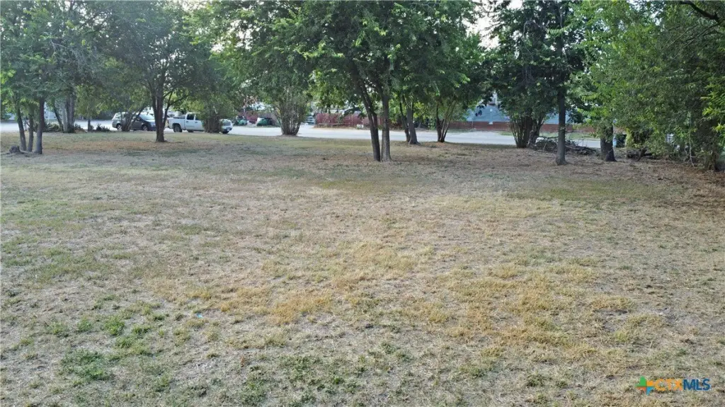 Picture 12