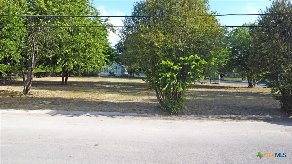 Picture 13