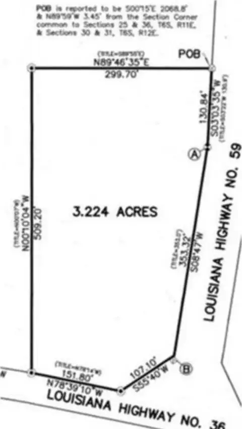 Commercial Land in Abita Springs