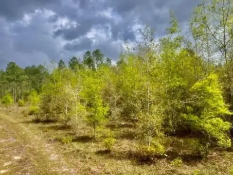 20 Acres Potential Homesite or Retreat