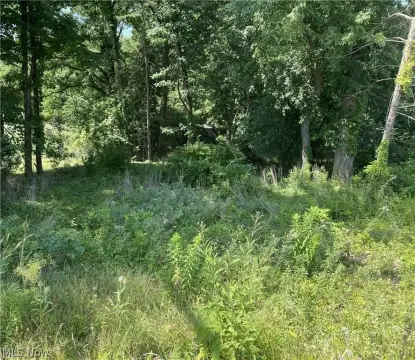 Residential Lot in Jackson Twp