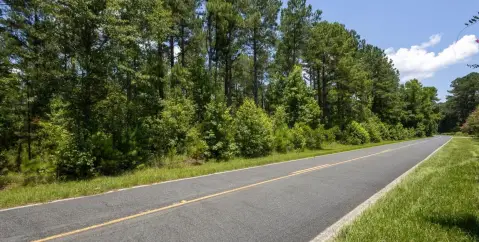 Wooded Hunting Land